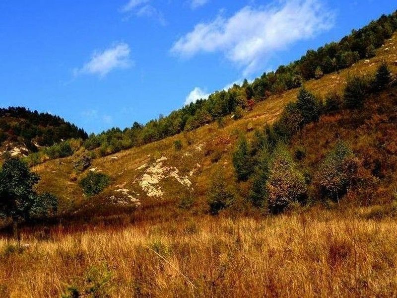 简介:驼梁山风景区位于平山县境内的西北部深山区,南与国家级名胜区西柏坡毗邻,东与灵寿县的五岳寨国家森林公园相连,北与阜平县境内北方最大的瀑布群接壤,西与国内四大佛教名山之一的五台山相望。据县政府办公室副主任张新全介绍,驼梁景区内瀑布相连,峡谷中清水长流,区内最高峰海拔2200多米,是太行山的主峰之一。这里雨量充沛,山林保护完整,走进驼梁,就像走进天然的氧气车间。驼梁山千山披翠,万瀑齐飞,茂密的原始森林和连绵不断的瀑布构成景区最具特色的景观。在三万多亩苍苍莽莽的原始森林中,共有686种植物和100多种野生动