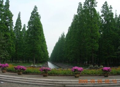 北郊图片v图片-北郊公园旅游景点-北郊公园美食排名宝鸡特色陕西公园图片