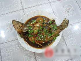 家常桂鱼