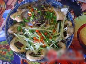 开屏罗非鱼
