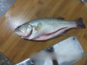 m_201204231409191335991704.jpg